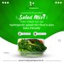 Eat healthy to fit your body organs to buy Salad online