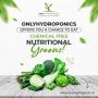 Is hydroponic food nutritious?