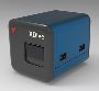 XDive Extraction-Free PCR Kit for Fast and Simple Testing