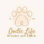 Top Cavoodle Breeders at Oodle Life
