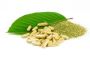 Exploring the Uses of Red Kratom: Benefits and Applications
