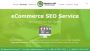Ecommerce SEO Services
