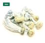 Buy Magic Mushrooms in Montreal