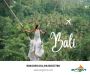 Bali tour packages from chennai