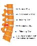 Neck and Back Pain Treatment