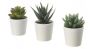 Stylish 3-Pack Artificial Succulent Plants for Indoor Decor