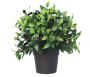 Small UV-Resistant Artificial Jasmine Plant 