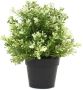 Small UV-Resistant Artificial White Jade Plant - 20cm