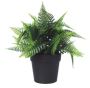 Small Potted Artificial Boston Fern Plant – 20cm