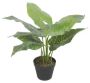 Artificial Potted Taro Plant / Elephant Ear 55cm