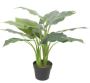 Artificial Potted Taro Plant / Elephant Ear 70cm 