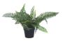 Small Potted Artificial Dark Green Fern Plant UV Resistant20