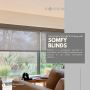 Discover the Convenience of Somfy Blinds