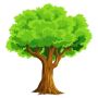 Columbus Tree Trimming