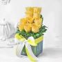 Online Flower Delivery in Kolkata on Midnight and Same day