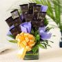 Send Chocolates to Delhi on Same Day Delivery from OyeGifts