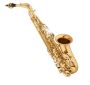 Eastman Student Alto Saxophone - EAS253 Gen II Latest Versio