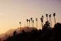 Media attorney Los Angeles | Pacitti Law Firm