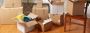 Book Best Packers and Movers in Indore