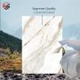 Granite in Jaipur: Affordable and Luxurious Stone Choices