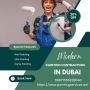 Painting Contractors in Dubai: Your Ultimate Guide