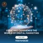 Best Digital Marketing Company in Wakad| Pallavi´s DigiSoul