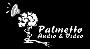 Palmetto Audio & Video