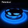 Paneralux: Premium Pool Rope Lights for Stunning Outlines