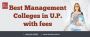 Best Management Colleges in U.P. with fees