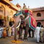 Elephant Services For Weddings
