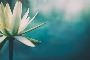 Finding the best Colon Hydrotherapy in Montville