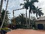 One of the Best Service for Tree Trimming in Miami Gardens