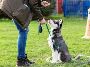 One of the Best Dog Behaviour Training in Sans Souci