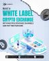 Launch Your Own Crypto Exchange with White Label Solutions
