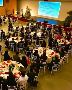 Create Memorable Corporate Experiences with Mosaiclive 