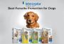 Interceptor - Best Heartworm Prevention!!