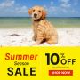 Special Summer Season Sale - 10% off on all orders, Use code