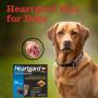 Heartgard Plus for Dogs