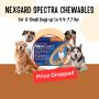 Price Drop Alert: Nexgard Spectra Chewable for X Small Dogs