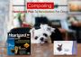 Comparing Heartgard Plus To Revolution For Dogs Comparing Heartgard Plus To Revolution For Dogs