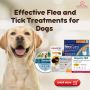 Shop Effective Flea and Tick Treatments for Dogs Shop Effective Flea and Tick Treatments for Dogs