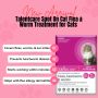 Shop Talentcare Spot On Cat Flea & Worm Treatment for Cats 
