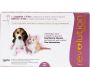 Revolution for Cats: Effective Flea, Tick, and Parasite 
