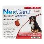 Nexgard Chewables for Extra Large Dogs | BestVetCare