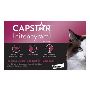 Capstar for Cats: Fast-Acting Flea Treatment for Your Feline