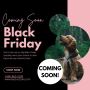 Black Friday Sale Coming Soon - Get Ready for Big Savings!