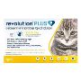 Revolution Plus for Cats – Save More on Parasite Protection!