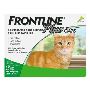Buy Frontline Plus for Cats – Effective Flea Protection Buy Frontline Plus for Cats – Effective Flea Protection