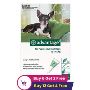 Advantage for Dogs - Powerful Flea Treatment | BestVetCare