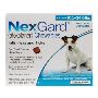 Nexgard Chewables for Medium Dogs 10.1-24 lbs (Blue) 